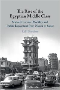 Rise of the Egyptian Middle Class