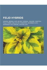 Felid Hybrids