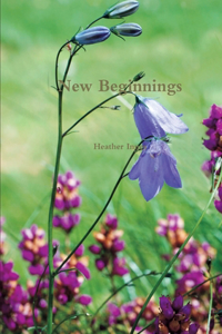 New Beginnings