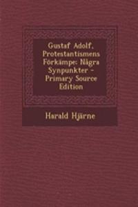 Gustaf Adolf, Protestantismens Forkampe; Nagra Synpunkter