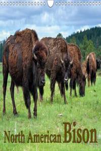North American Bison 2017: The Bison or Indian Buffalo is the Largest Mammal on the North American Continent. Through the Protection of Yellowstone ... of the American West. (Calvendo Animals)