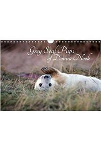Grey Seal Pups of Donna Nook 2018