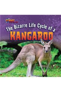 Bizarre Life Cycle of a Kangaroo