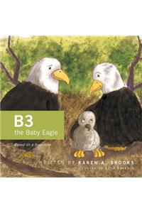 B3 the Baby Eagle