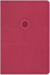 KJV Deluxe Gift Bible, Pink/Light Pink LeatherTouch