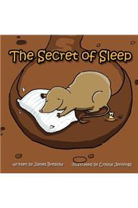 The Secret of Sleep