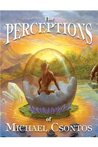 Perceptions of Michael Csontos