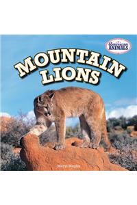 Mountain Lions