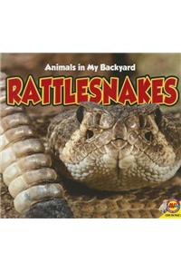 Rattlesnakes