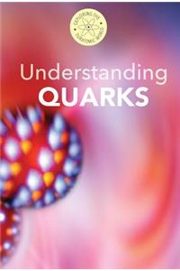 Understanding Quarks