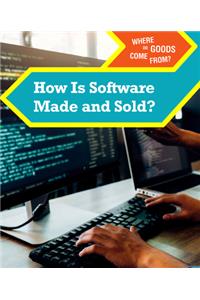How Is Software Made and Sold?