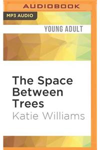 Space Between Trees
