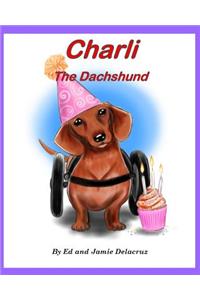 Charli the Dachshund