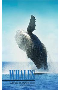 Whales Weekly Planner 2017
