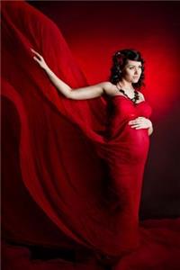 Sexy and Pregnant Journal