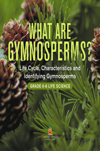 What Are Gymnosperms? Life Cycle, Characteristics and Identifying Gymnosperms Grade 6-8 Life Science