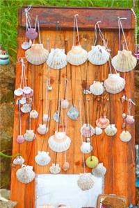 Scallop Shells (Viera) in Galicia Spain Camino De Santiago Journal