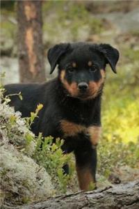 Totally Adorable Little Rottweiler Puppy Dog Pet Journal