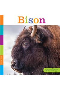 Bison