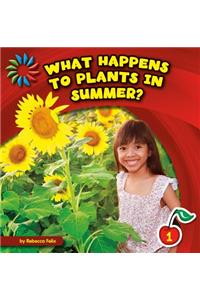 What Happens to Plants in Summer?