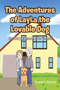 Adventures of LayLa the Lovable Dog