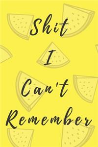 Shit I Can't Remember