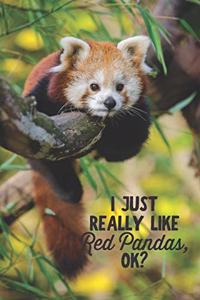 I Just Really Like Red Pandas, OK?: Funny Blank Lined Journal Notebook for Red Panda Lovers