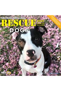 Cal 2021- Rescue Dogs Wall