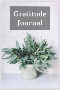 Gratitude Journal