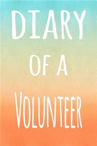 Diary of a Volunteer