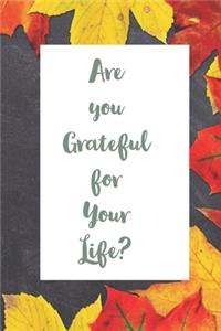 Are you Grateful for Your Life?