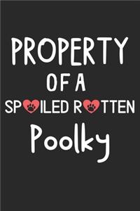 Property Of A Spoiled Rotten Poolky