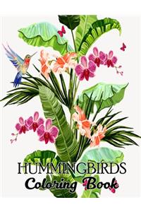 Hummingbirds Coloring Book