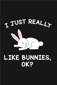 I Just Really Like Bunnies Ok