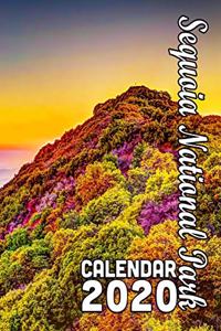 Sequoia National Park Calendar 2020