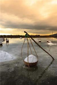 Salt Field at Dawn Journal