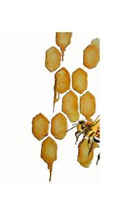 Honey Bee 2019 Daily Planner