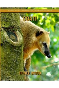 Coati