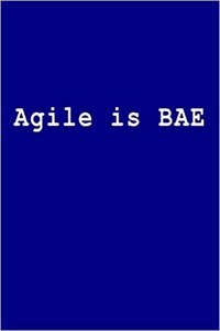 Agile Is Bae