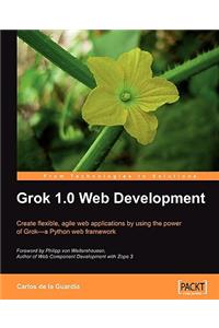 Grok 1.0 Web Development