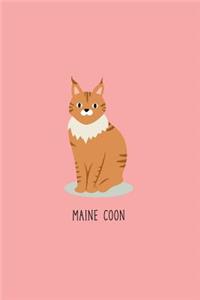 Maine Coon