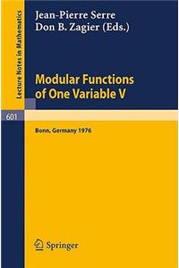 Modular Functions of One Variable V