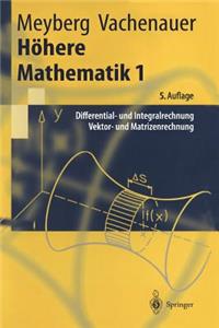 H Here Mathematik 1: Differential- Und Integralrechnung Vektor- Und Matrizenrechnung