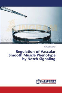Regulation of Vascular Smooth Muscle Phenotype by Notch Signaling