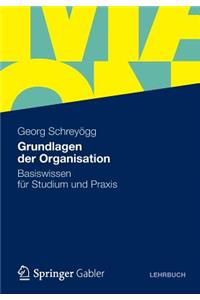 Grundlagen Der Organisation: Basiswissen Fur Studium Und Praxis