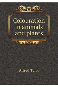 Colouration in animals and plants