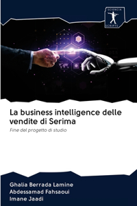 business intelligence delle vendite di Serima
