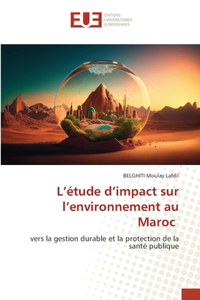 L'étude d'impact sur l'environnement au Maroc