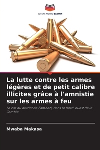 La lutte contre les armes légères et de petit calibre illicites grâce à l'amnistie sur les armes à feu