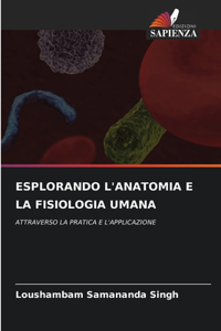 Esplorando l'Anatomia E La Fisiologia Umana